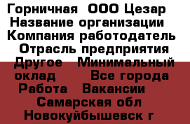 Горничная. ООО Цезар › Название организации ­ Компания-работодатель › Отрасль предприятия ­ Другое › Минимальный оклад ­ 1 - Все города Работа » Вакансии   . Самарская обл.,Новокуйбышевск г.